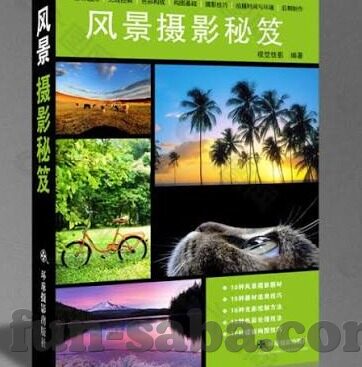 缘足球比分网-缘足球比分网，足球迷的数字乐园与信息港湾